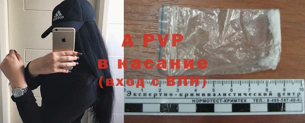 сатива Приозерск